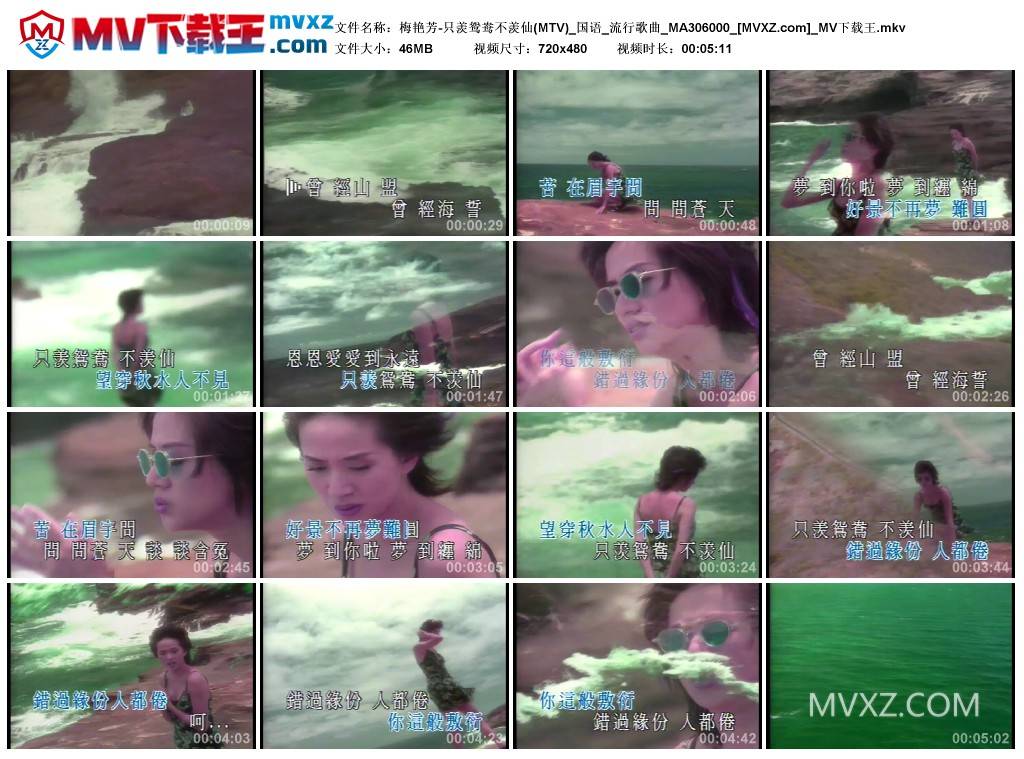 梅艳芳-只羡鸳鸯不羡仙(MTV)_国语_流行歌曲_MA306000